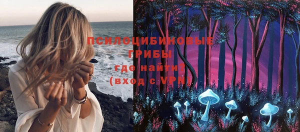 дурь Аркадак
