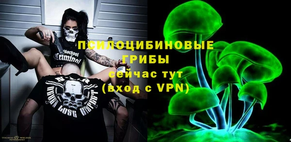 эйфоретик Арсеньев