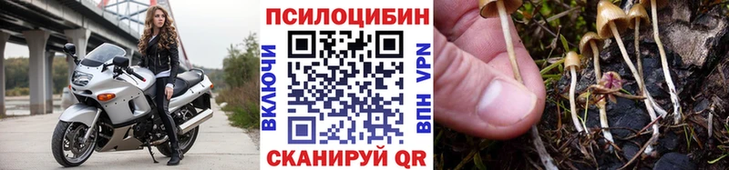 Галлюциногенные грибы Magic Shrooms  Купить где  Приозерск 